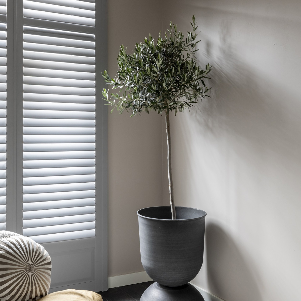 shutters vtwonen Kampen met plant